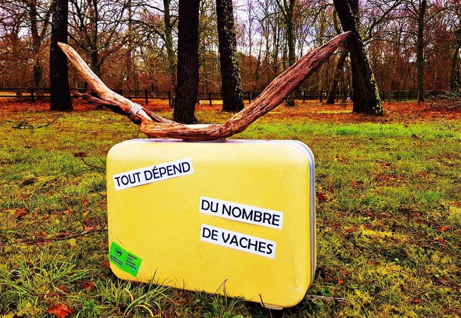 Visuel Tout dépend du nombre de vaches valise