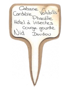 Cabane, Cardère, Volubilis, Phacélie, Hôtel à insectes, Courge gourde, Nid, Doudou